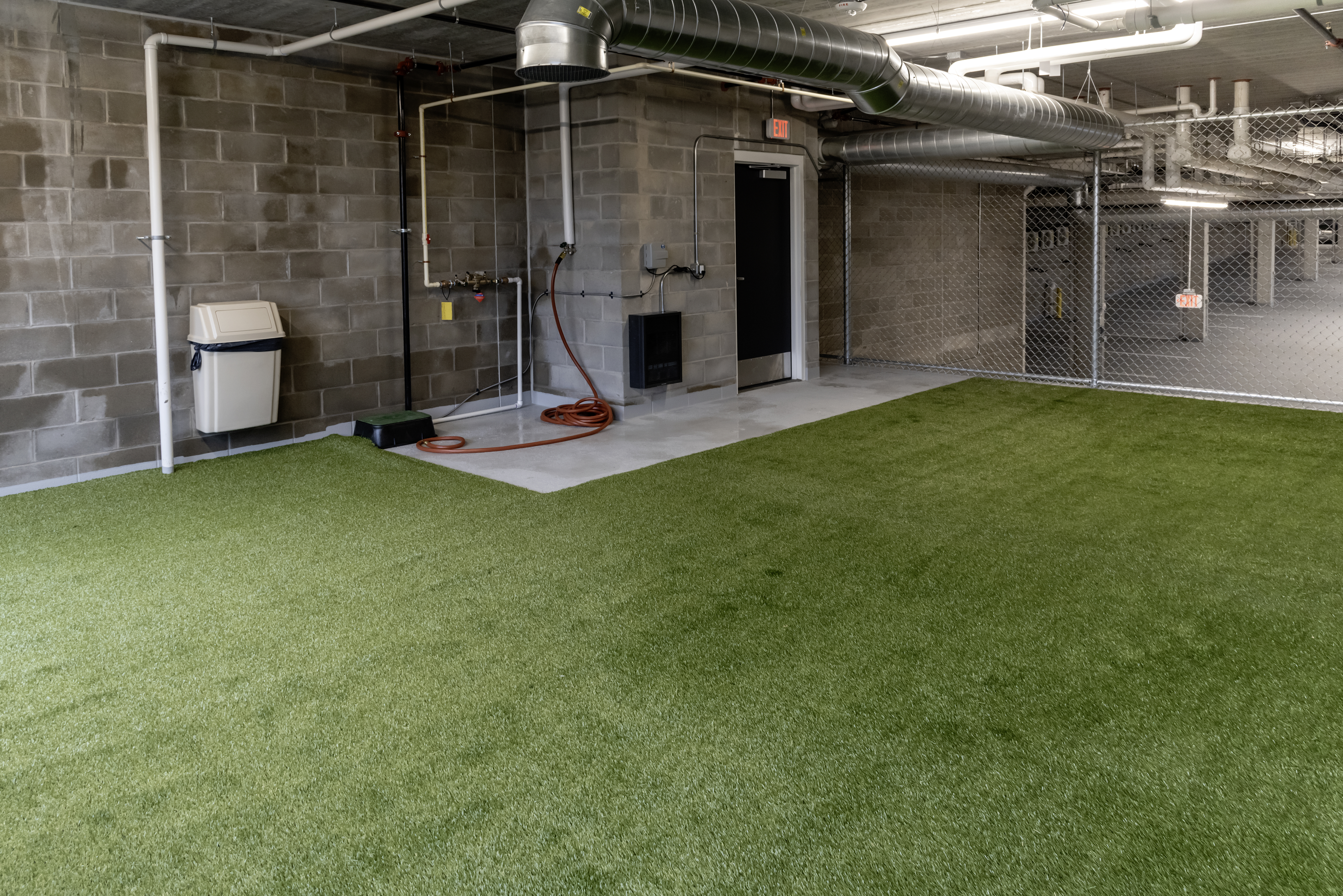 Tyler Stacks dog run 2